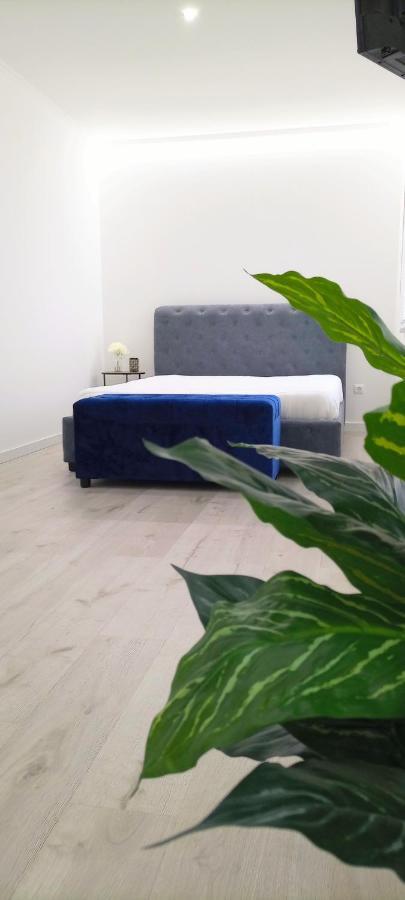 Appartamento Casa Incrivel Refugio Lieva ,Piscina , Jacuzzi Exterior E Zona Kids Nelas Esterno foto